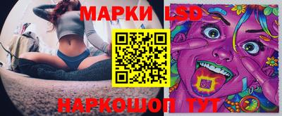 apvp Нальчик