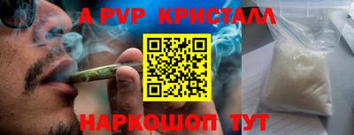 apvp Нальчик