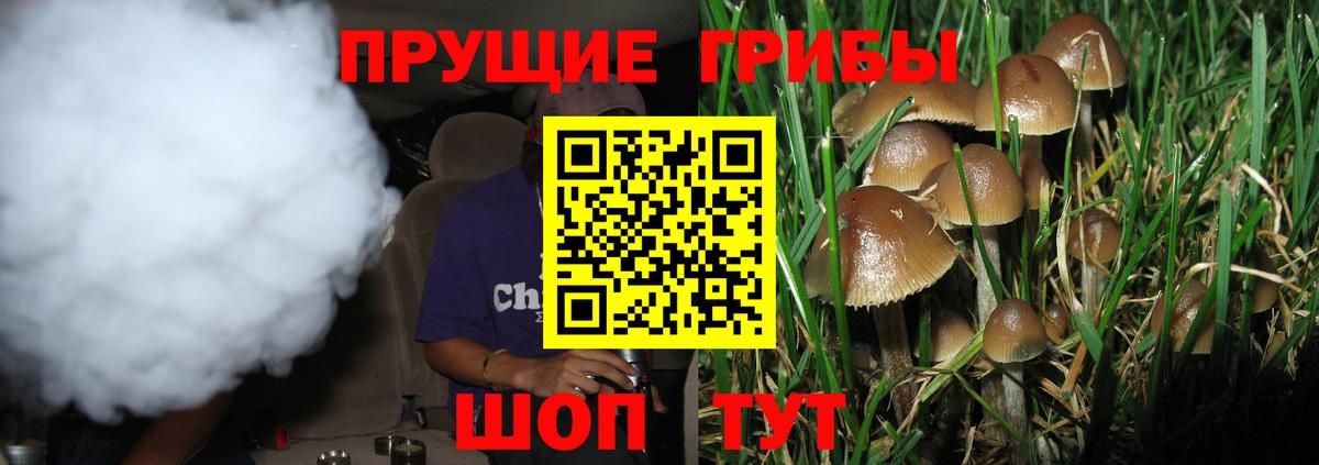 где купить наркоту  Галлюциногенные грибы MAGIC MUSHROOMS  Вход с VPN  Партизанск 